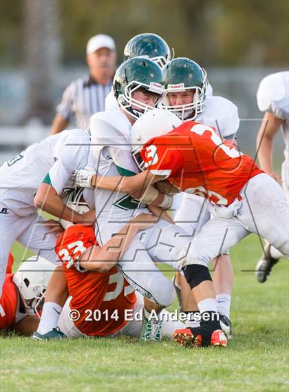 Thumbnail 1 in FR: Colfax @ Woodland photogallery.