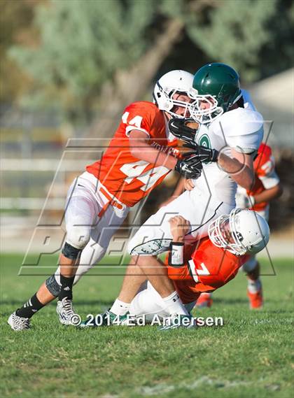 Thumbnail 2 in FR: Colfax @ Woodland photogallery.
