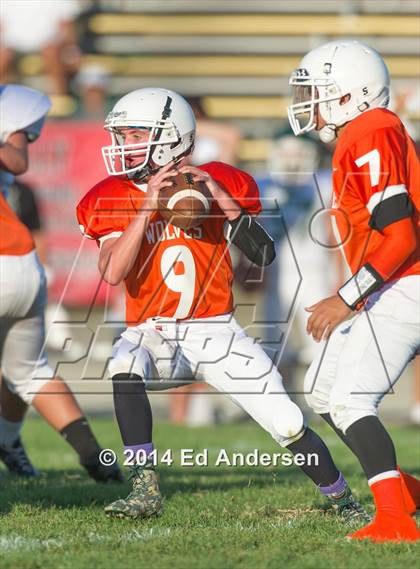 Thumbnail 2 in FR: Colfax @ Woodland photogallery.