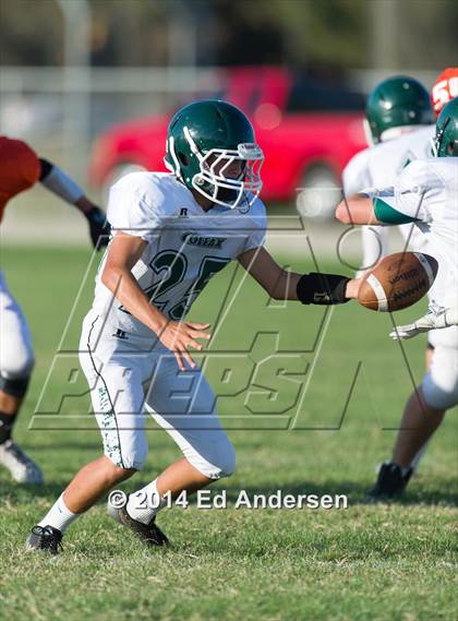 Thumbnail 3 in FR: Colfax @ Woodland photogallery.