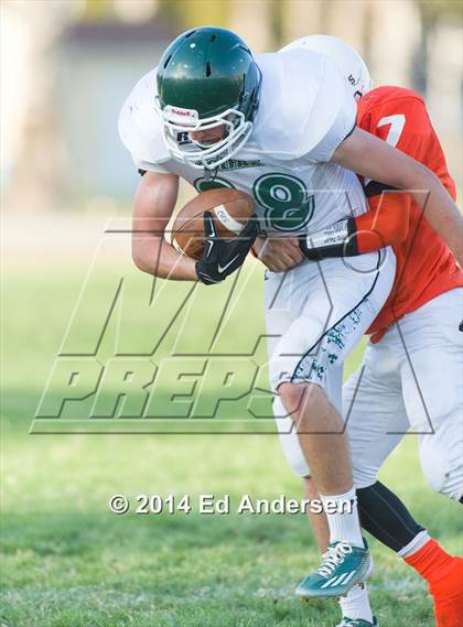 Thumbnail 3 in FR: Colfax @ Woodland photogallery.