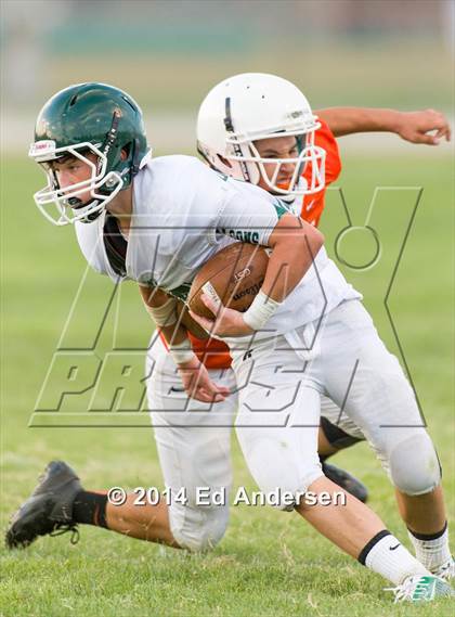 Thumbnail 1 in FR: Colfax @ Woodland photogallery.