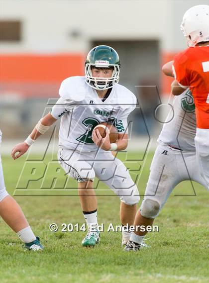 Thumbnail 3 in FR: Colfax @ Woodland photogallery.