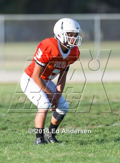 Thumbnail 3 in FR: Colfax @ Woodland photogallery.