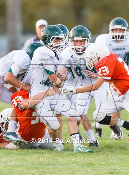 Thumbnail 3 in FR: Colfax @ Woodland photogallery.