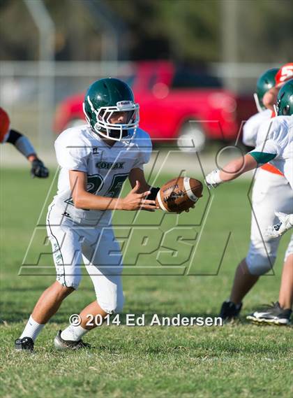 Thumbnail 2 in FR: Colfax @ Woodland photogallery.