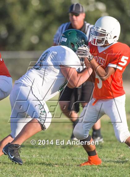 Thumbnail 2 in FR: Colfax @ Woodland photogallery.