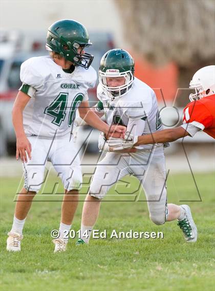 Thumbnail 1 in FR: Colfax @ Woodland photogallery.