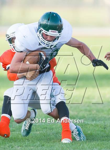 Thumbnail 2 in FR: Colfax @ Woodland photogallery.
