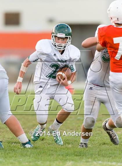 Thumbnail 2 in FR: Colfax @ Woodland photogallery.
