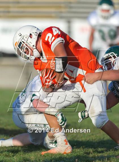 Thumbnail 2 in FR: Colfax @ Woodland photogallery.