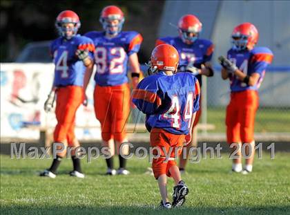 Thumbnail 1 in Williamsville @ Riverton photogallery.
