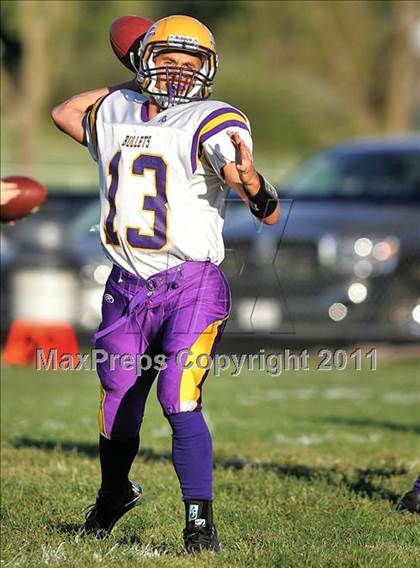 Thumbnail 3 in Williamsville @ Riverton photogallery.
