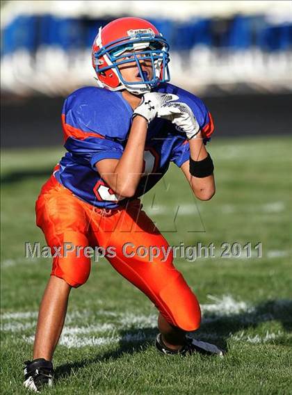 Thumbnail 2 in Williamsville @ Riverton photogallery.