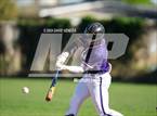 Photo from the gallery "Red Mountain @ Mesa"