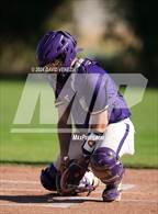 Photo from the gallery "Red Mountain @ Mesa"