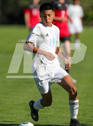 null - Photo 41