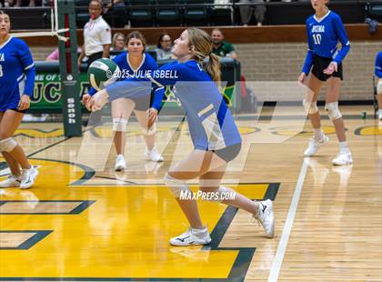 Thumbnail 1 in FR: Buna @ East Chambers photogallery.