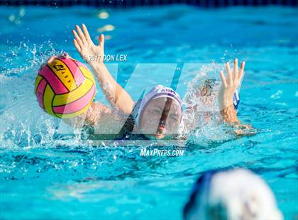 Thumbnail 1 in Armijo @ Napa photogallery.