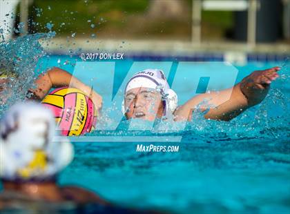 Thumbnail 2 in Armijo @ Napa photogallery.