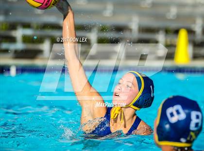 Thumbnail 1 in Armijo @ Napa photogallery.