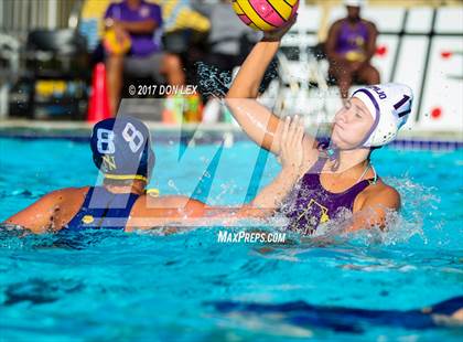 Thumbnail 3 in Armijo @ Napa photogallery.