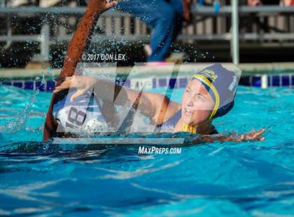 Thumbnail 3 in Armijo @ Napa photogallery.