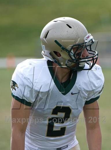 null - Photo 01