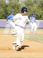 Photo from the gallery "King @ Lennard (Saladino)"