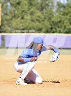 Photo from the gallery "King @ Lennard (Saladino)"