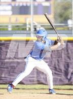 Photo from the gallery "King @ Lennard (Saladino)"