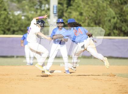 Thumbnail 2 in King @ Lennard (Saladino) photogallery.