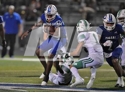 Thumbnail 1 in Tatum @ Daingerfield photogallery.