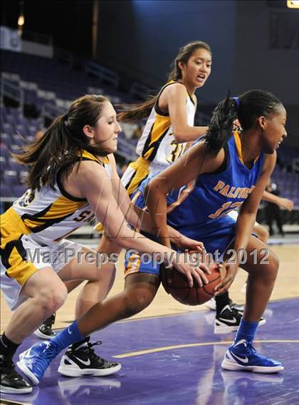 Thumbnail 3 in Saguaro vs. Palo Verde (AIA D2 Quarterfinals) photogallery.
