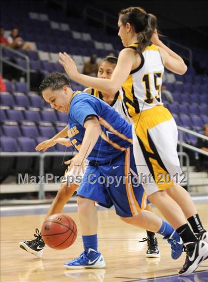 Thumbnail 1 in Saguaro vs. Palo Verde (AIA D2 Quarterfinals) photogallery.