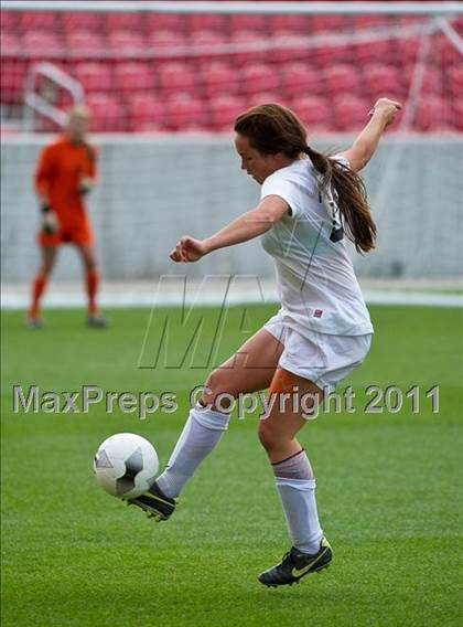 Thumbnail 1 in Brighton vs Viewmont (5A Final) photogallery.