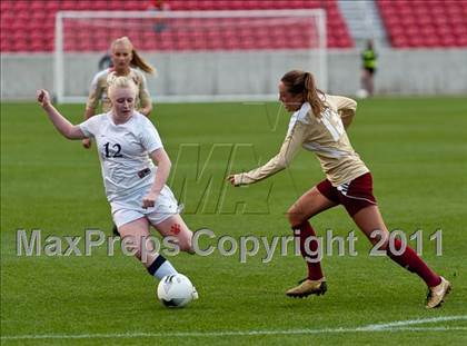 Thumbnail 1 in Brighton vs Viewmont (5A Final) photogallery.