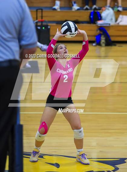 Thumbnail 2 in White Oak @ Croatan photogallery.