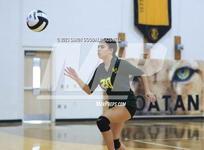 Thumbnail 1 in White Oak @ Croatan photogallery.