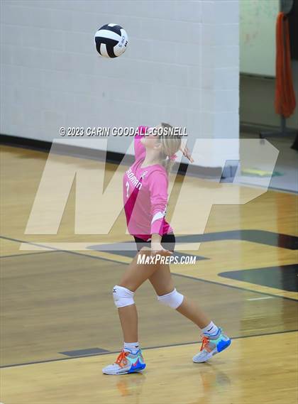 Thumbnail 2 in White Oak @ Croatan photogallery.