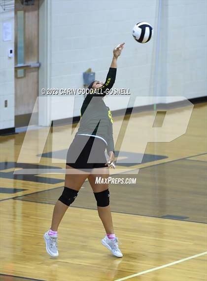 Thumbnail 1 in White Oak @ Croatan photogallery.