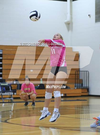 Thumbnail 2 in White Oak @ Croatan photogallery.
