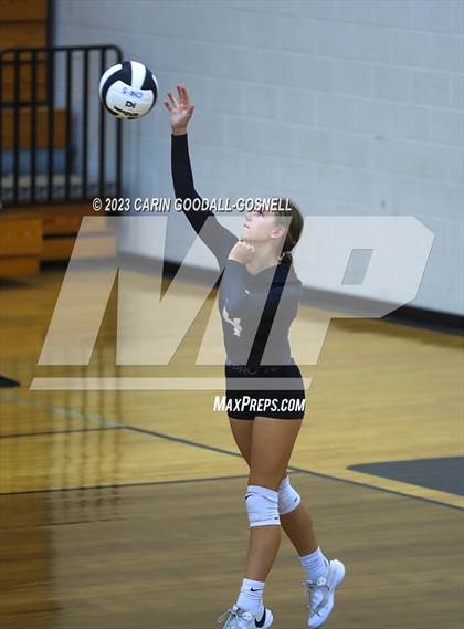 Thumbnail 1 in White Oak @ Croatan photogallery.