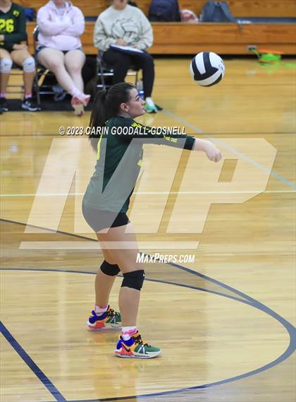 Thumbnail 1 in White Oak @ Croatan photogallery.