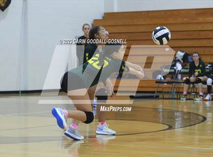 Thumbnail 2 in White Oak @ Croatan photogallery.