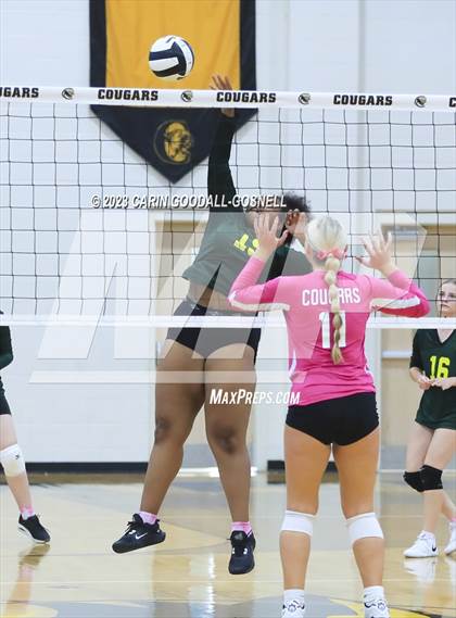 Thumbnail 1 in White Oak @ Croatan photogallery.