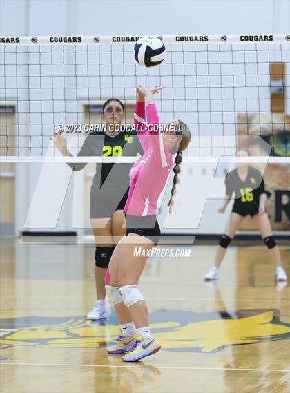 Thumbnail 3 in White Oak @ Croatan photogallery.