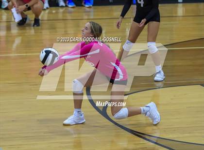 Thumbnail 1 in White Oak @ Croatan photogallery.