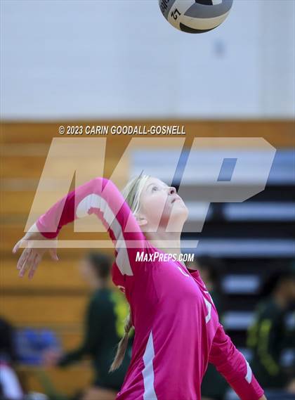 Thumbnail 2 in White Oak @ Croatan photogallery.