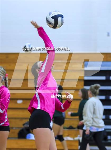 Thumbnail 1 in White Oak @ Croatan photogallery.